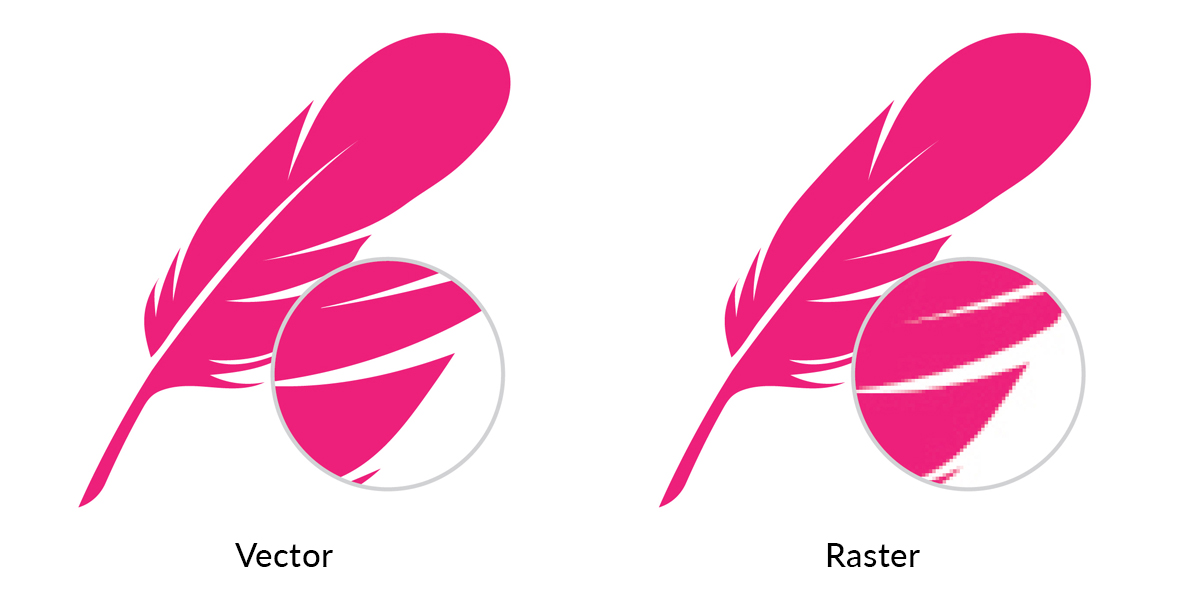 Feathers - Vector vs Raster