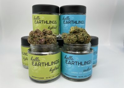 Hello Earthlings Jars